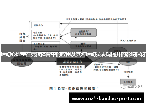 运动心理学在竞技体育中的应用及其对运动员表现提升的影响探讨 运动心理学在竞技体育中的应用及其对运动员表现提升的影响探讨